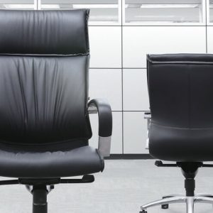 Luxdezine Black 2 Leather Executive Chair