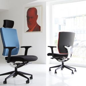 Luxdezine Blue Black Ergonomic Office Chair