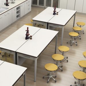 Luxdezine Laboratory Furniture Tables Chairs Classroom Type