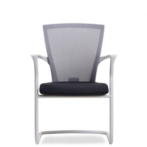 Luxdezine Multipurpose Chairs E1C100