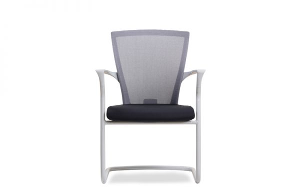 Luxdezine Multipurpose Chairs E1C100