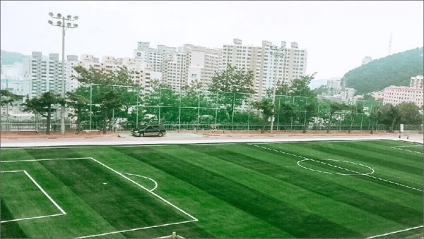 Luxdezine Turf Football Busan